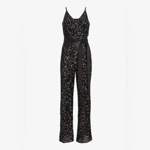 Sequin V-Neck Tie Waist Wide Leg Jumpsuit - Express
